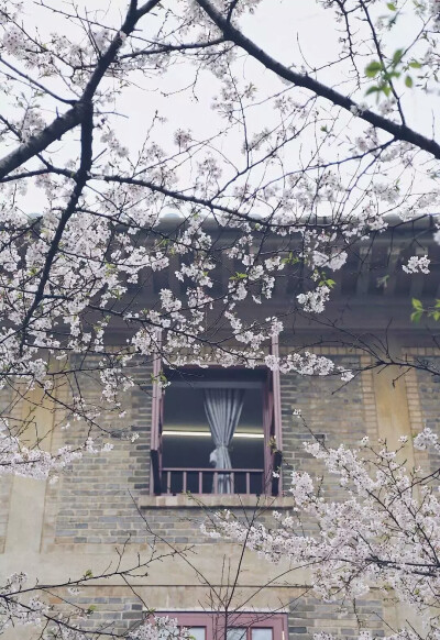 风景小镇店梦幻手绘复古花生活美丽旅行美图震撼壁纸头像自然摄影意境唯美