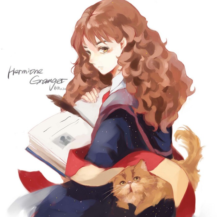 格兰芬多铁三角 - 赫敏·珍·格兰杰 (Hermione Jean Granger)