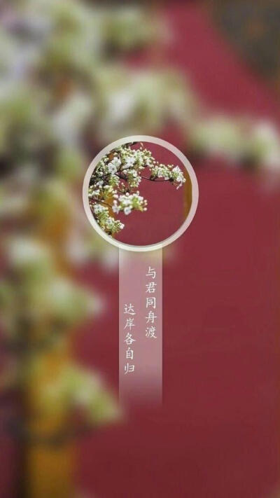 @弦思x 古风 诗词