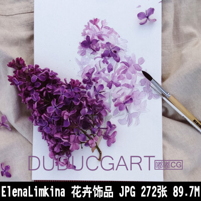 250 彩铅手绘临摹素材图 插画师ElenaLimkina花卉 植物水彩画