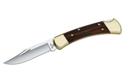 Buck 110 Folding Hunter Knife