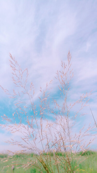 草原 天空 风景 壁纸 全景 蓝天 白云
日出 键盘壁纸 唯美 