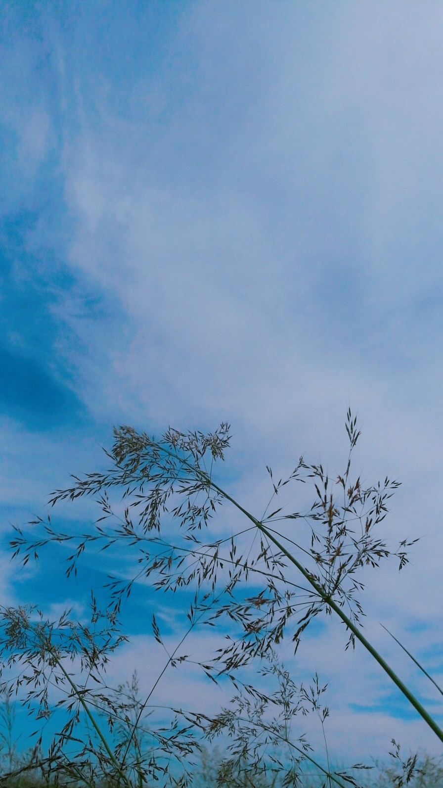 草原 天空 风景 壁纸 全景 蓝天 白云
日出 键盘壁纸 唯美 