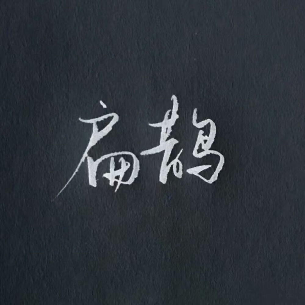 你的 名字 是 我见过 最短的 情诗