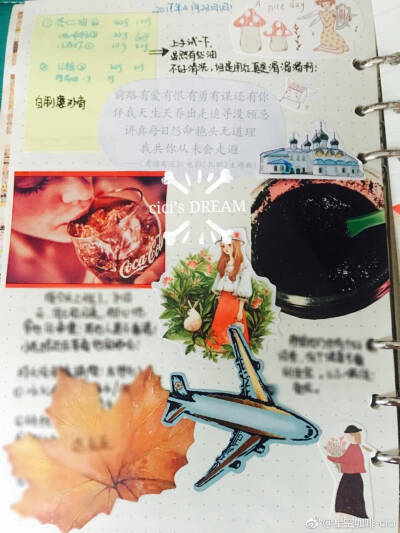 给你们看看我的手账