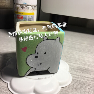 手绘多肉花盆，有意购买者私信进行私人订制