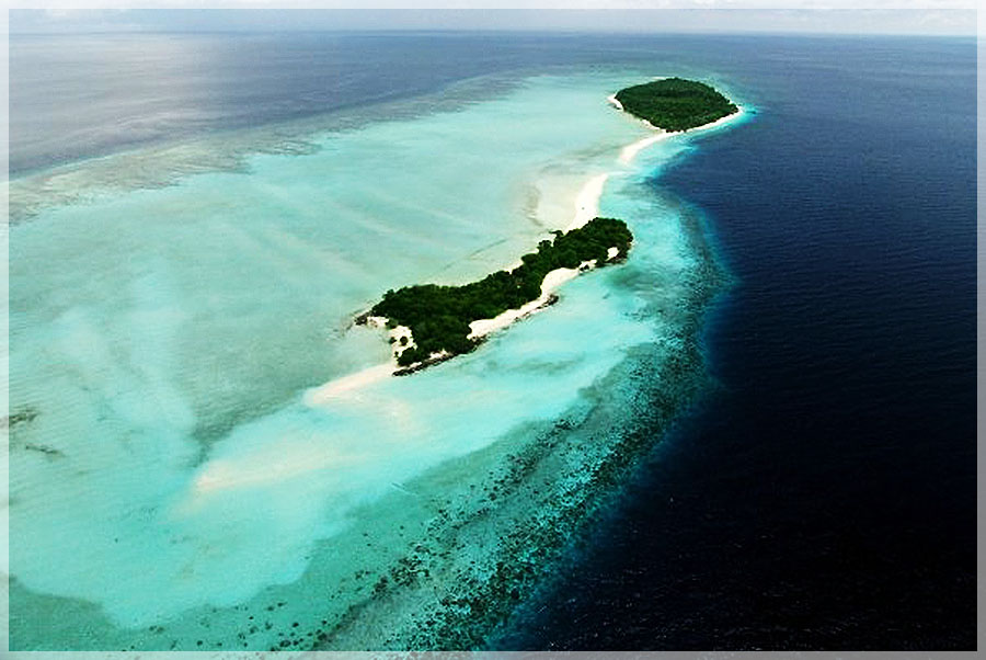 Malaysia Borneo, Sabah, Turtle Island Park 马来西亚婆罗州 沙巴州属 海龟岛海洋公园