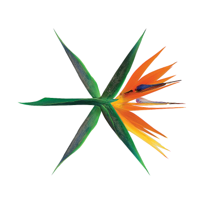 KOKOBOP. EXO回归