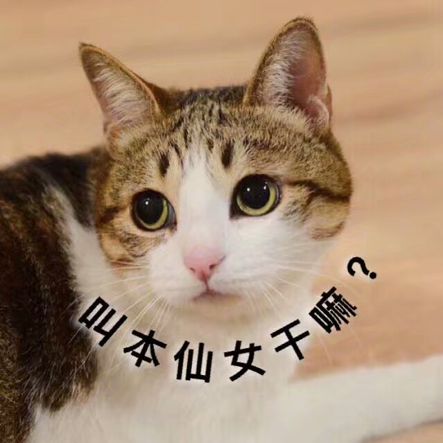 萌宠表情包