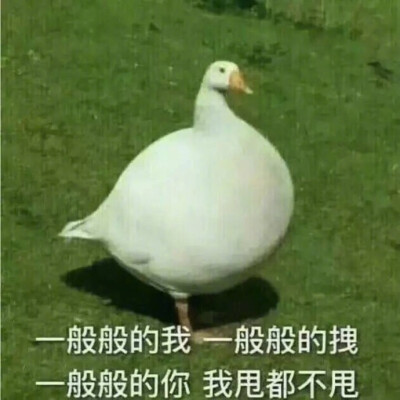 表情包