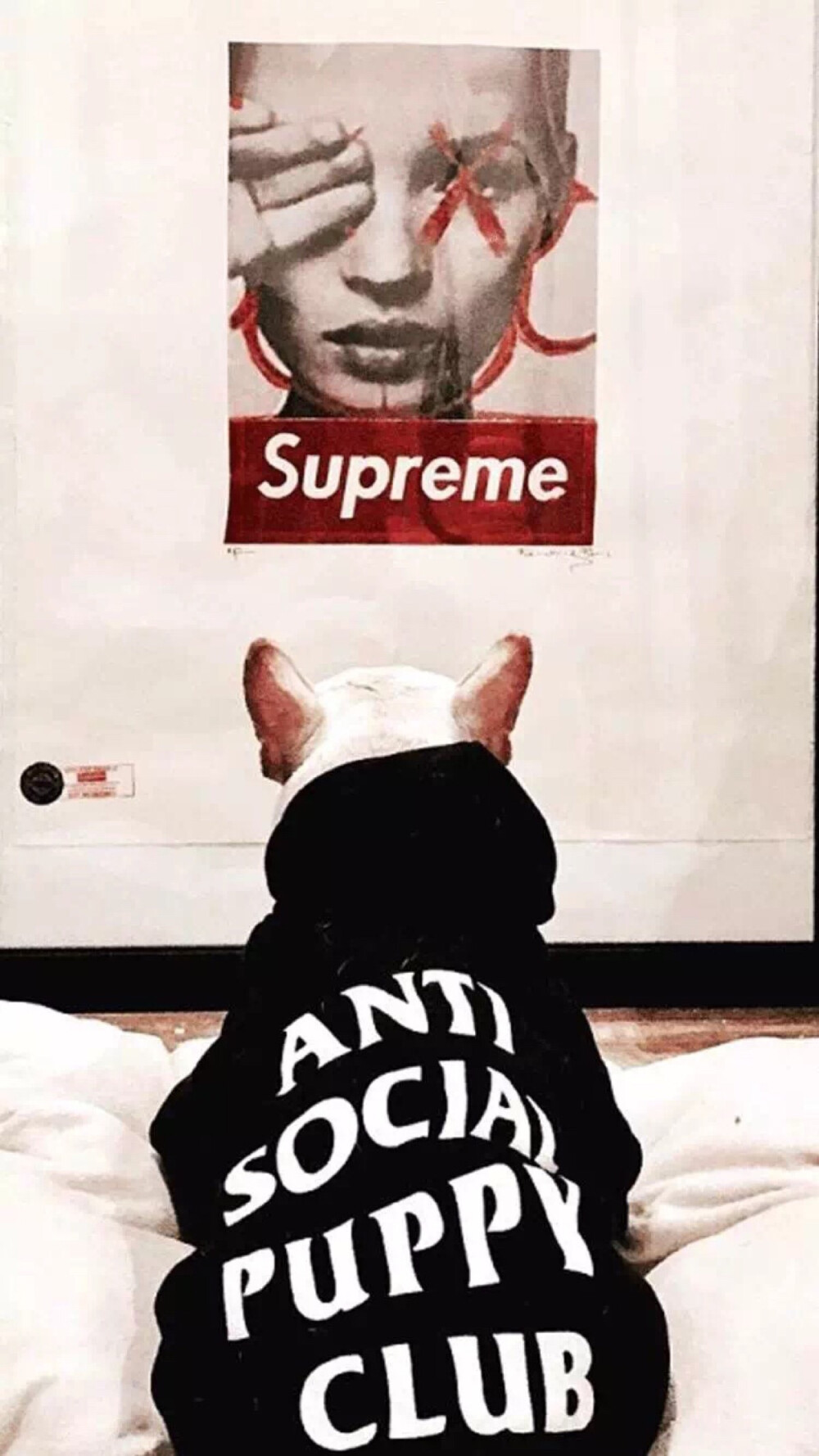 supreme