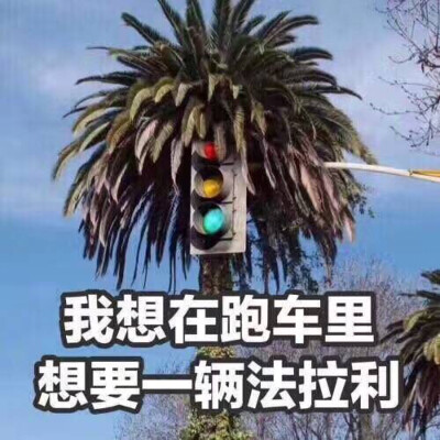 我想要法拉利