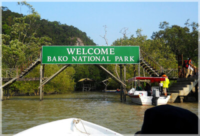 Malaysia National Parks, Sarawak, Bako 巴哥国家公园, 砂拉越州属, 马来西亚