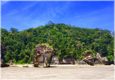 Malaysia National Parks, Sarawak, Bako 巴哥国家公园, 砂拉越州属, 马来西亚