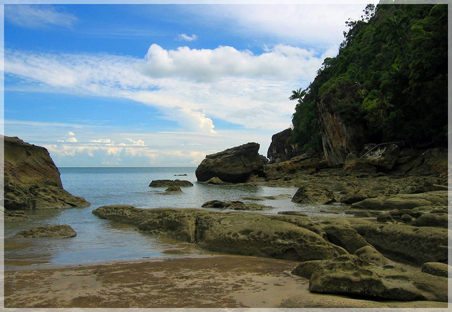 Malaysia National Parks, Sarawak, Bako 巴哥国家公园, 砂拉越州属, 马来西亚