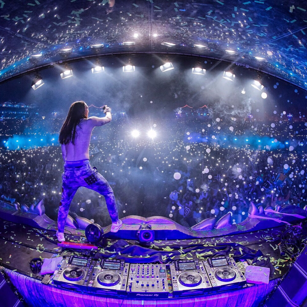 Steve Aoki tomorrowland 2017