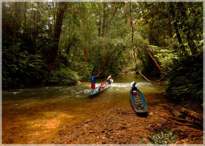 Malaysia National Parks, Sarawak, Batang Ai
巴当艾国家公园, 砂拉越州属, 马来西亚