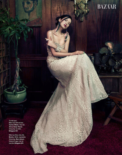 《Harper's Bazaar》越南版2012年12月號摄影师An Le ，模特 Kiki Kang， Li Ming与Luisa Bianchin