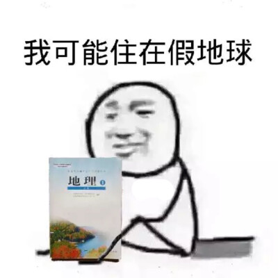 我可能住在假地球