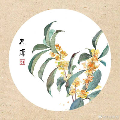 水彩花卉 图源微博 见水印木樨