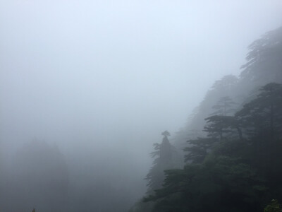 黄山。路上遇到两个国画画家写生，面对空无一物的山谷。想起纪录片《园林》中的话“在中国人观念中最宝贵的是什么，是空间，你把空间留出来，你的思想就能把它装满了。”