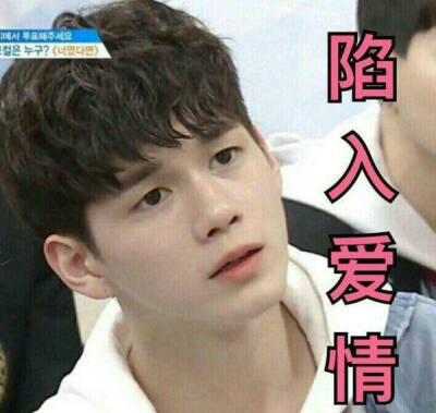 男版Produce101 WANNA·ONE 邕圣祐(雍成宇) 表情包