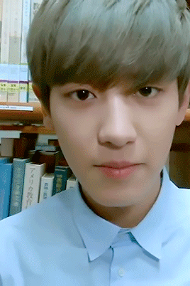 exo朴灿烈动态图片gif图片