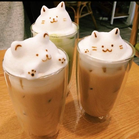 猫咪coffee