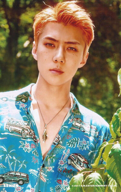 EXO 吴世勋 SE HUN
THE WAR 专辑周边