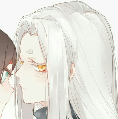 阴阳师黑白童子
