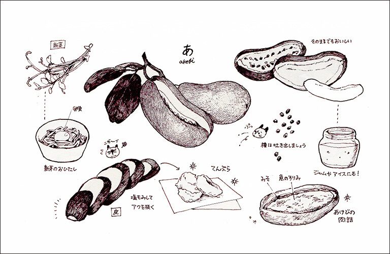 美食绘画