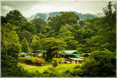 Malaysia National Parks, Sabah, Danum Valley Conservation
丹浓谷自然保护区, 沙巴州属, 马来西亚