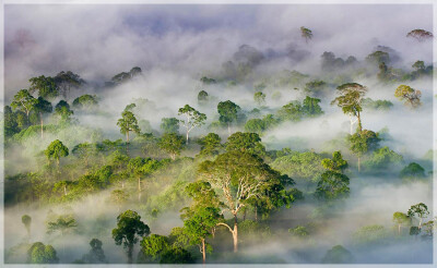 Malaysia National Parks, Sabah, Danum Valley Conservation
丹浓谷自然保护区, 沙巴州属, 马来西亚