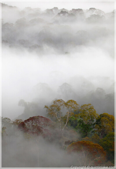 Malaysia National Parks, Sabah, Danum Valley Conservation
丹浓谷自然保护区, 沙巴州属, 马来西亚