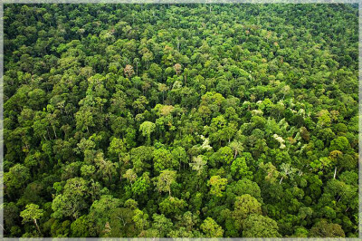 Malaysia National Parks, Sabah, Danum Valley Conservation
丹浓谷自然保护区, 沙巴州属, 马来西亚