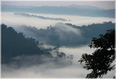 Malaysia National Parks, Sabah, Danum Valley Conservation
丹浓谷自然保护区, 沙巴州属, 马来西亚