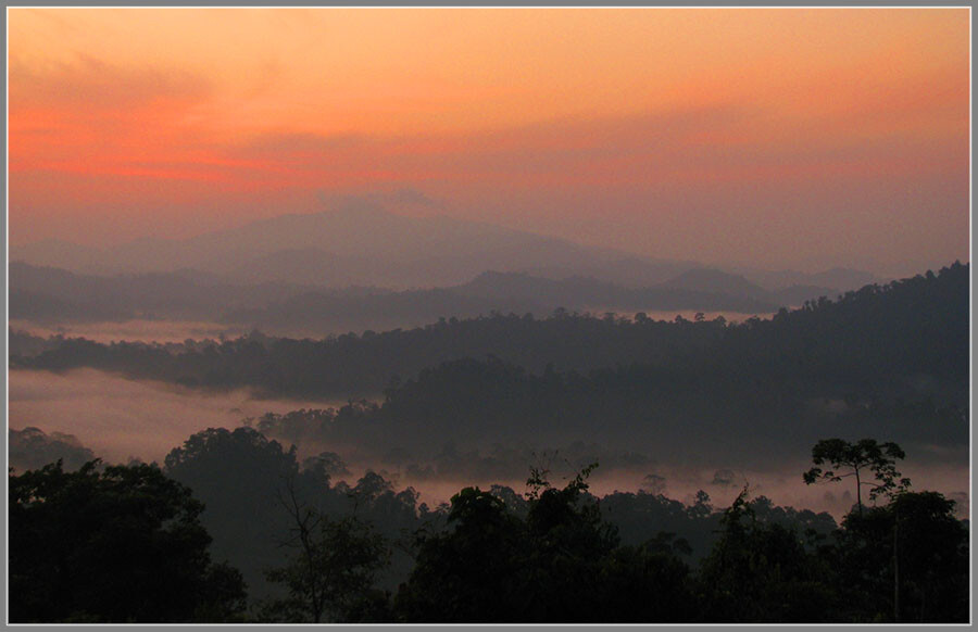 Malaysia National Parks, Sabah, Danum Valley Conservation
丹浓谷自然保护区, 沙巴州属, 马来西亚