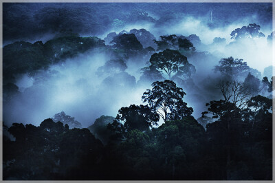 Malaysia National Parks, Sabah, Danum Valley Conservation
丹浓谷自然保护区, 沙巴州属, 马来西亚