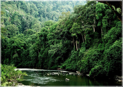 Malaysia National Parks, Sabah, Danum Valley Conservation
丹浓谷自然保护区, 沙巴州属, 马来西亚