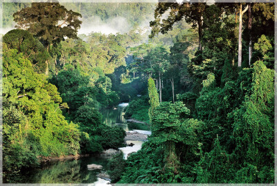 Malaysia National Parks, Sabah, Danum Valley Conservation
丹浓谷自然保护区, 沙巴州属, 马来西亚