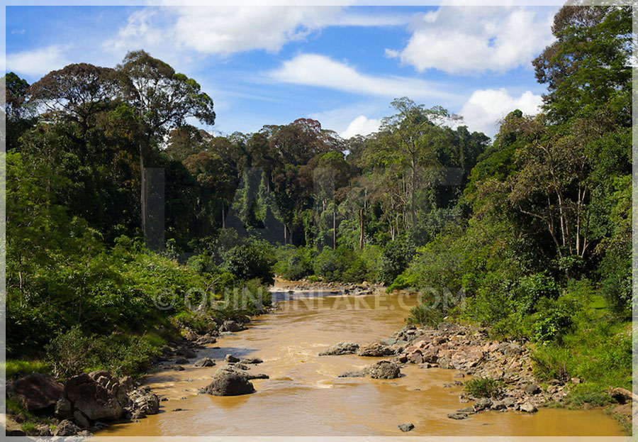 Malaysia National Parks, Sabah, Danum Valley Conservation
丹浓谷自然保护区, 沙巴州属, 马来西亚