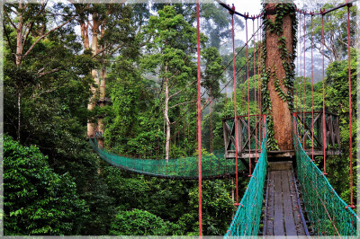 Malaysia National Parks, Sabah, Danum Valley Conservation
丹浓谷自然保护区, 沙巴州属, 马来西亚