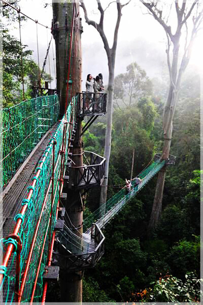 Malaysia National Parks, Sabah, Danum Valley Conservation
丹浓谷自然保护区, 沙巴州属, 马来西亚