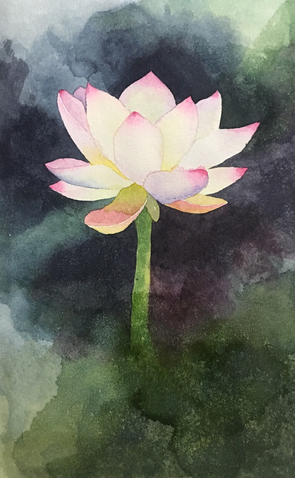 荷花，新作