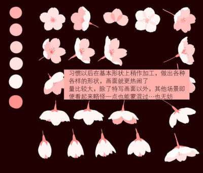 樱花教程