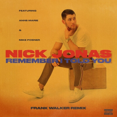 Nick Jonas - Remember I Told You (feat. Anne-Marie & Mike Posner) [Frank Walke