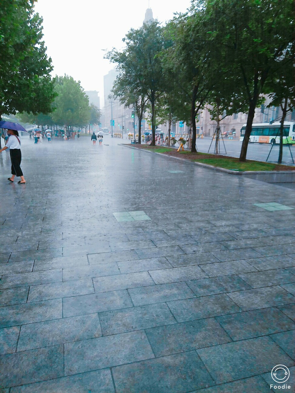 外滩附近 东方明珠 黄浦江 上海雨季 阵雨过后 