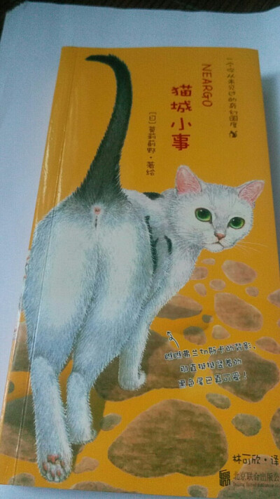 猫城小事 日本作家 插画系 感觉看这个对学美术的人特别有帮助 献给美术生和艺术生