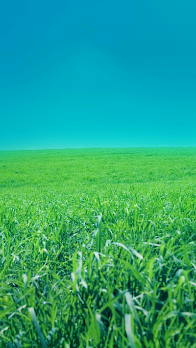 美丽草原风景手机壁纸图片