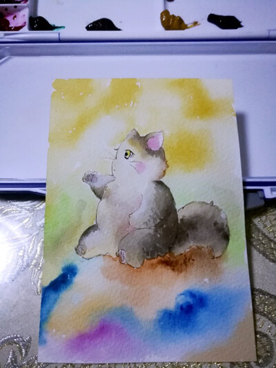 大胖猫，好吃的，都给我，给我～